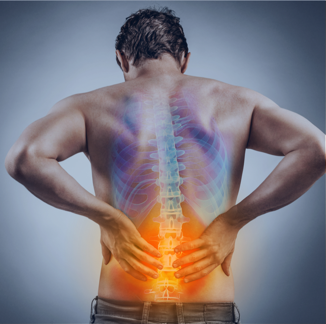 Understanding Pain pain